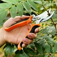 thumbnail image 5 of CNKOO 4 Pack Garden Pruning Shears  Stainless Steel Garden Shears  Gardening Shears  Garden Scissors  Garden Clippers  Pruning Snips  Pruning Shears for Gardening Tools, 5 of 5