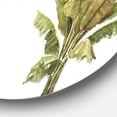 thumbnail image 2 of Designart'mixted Botanical Greens palms I' Art Mural en Métal Style Ferme, 2 of 3
