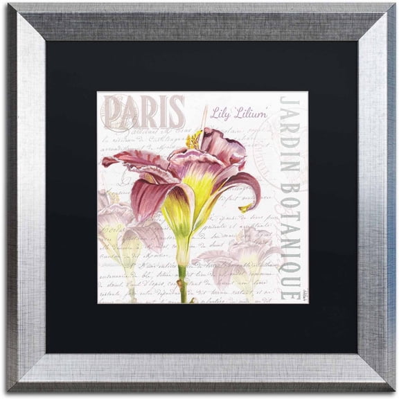 Trademark Fine Art "Paris Botanique Lily Purple" Canvas Art by Jennifer Redstreake Black Matte, Silver Frame
