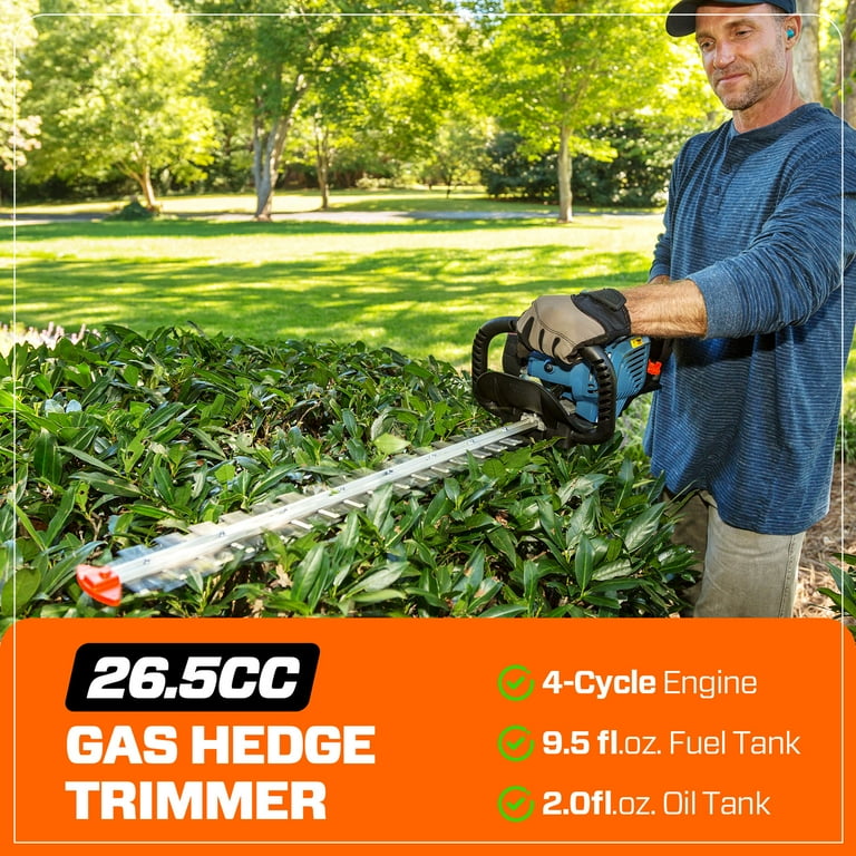 デンシフィック4点セット s-l400.jpg