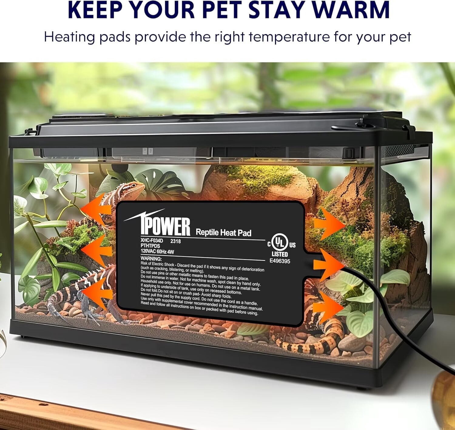 Do Snakes Need A Heat Mat