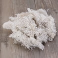 thumbnail image 6 of landege Preserved Fresh Moss DIY Floral Material Accessory Beautiful Decoration for Wedding Party Garden 50g (White), 6 of 10