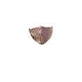 thumbnail image 2 of Sizzling Snake Tween Hi Fashion Designer 90210 Face Mask, 2 of 2