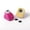 Clover B, variant on U8MO Random Color Mini Plastic Paper Punches Craft Cutter Scrapbooking Pick Patterns-Tree-8x7mm