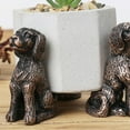 thumbnail image 6 of NOVELAR Resin Pot Risers with Adjustable Feet, Supports Up to 100 lb for Large Planters, Keeps Pots Dry and Promotes Air Circulation for Healthier Plants, 6 of 6