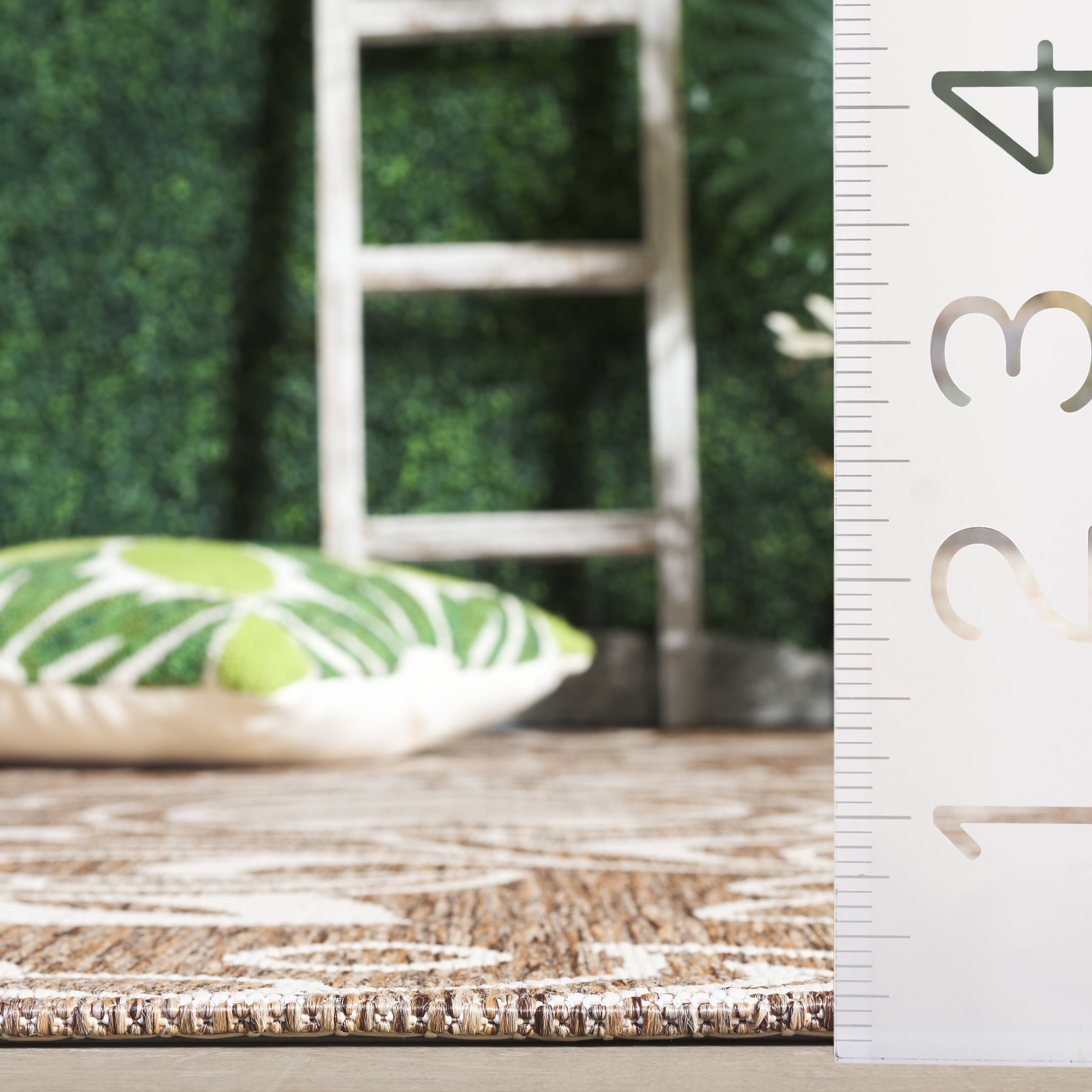 SAFAVIEH Beach House Robynne Botanical Indoor/Outdoor Area Rug, Brown/Beige, 8' x 10'
