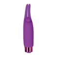thumbnail image 5 of Powerbullet Langue Taquine avec Mini Balle Rechargeable 2,5 Po Violet, 5 of 5