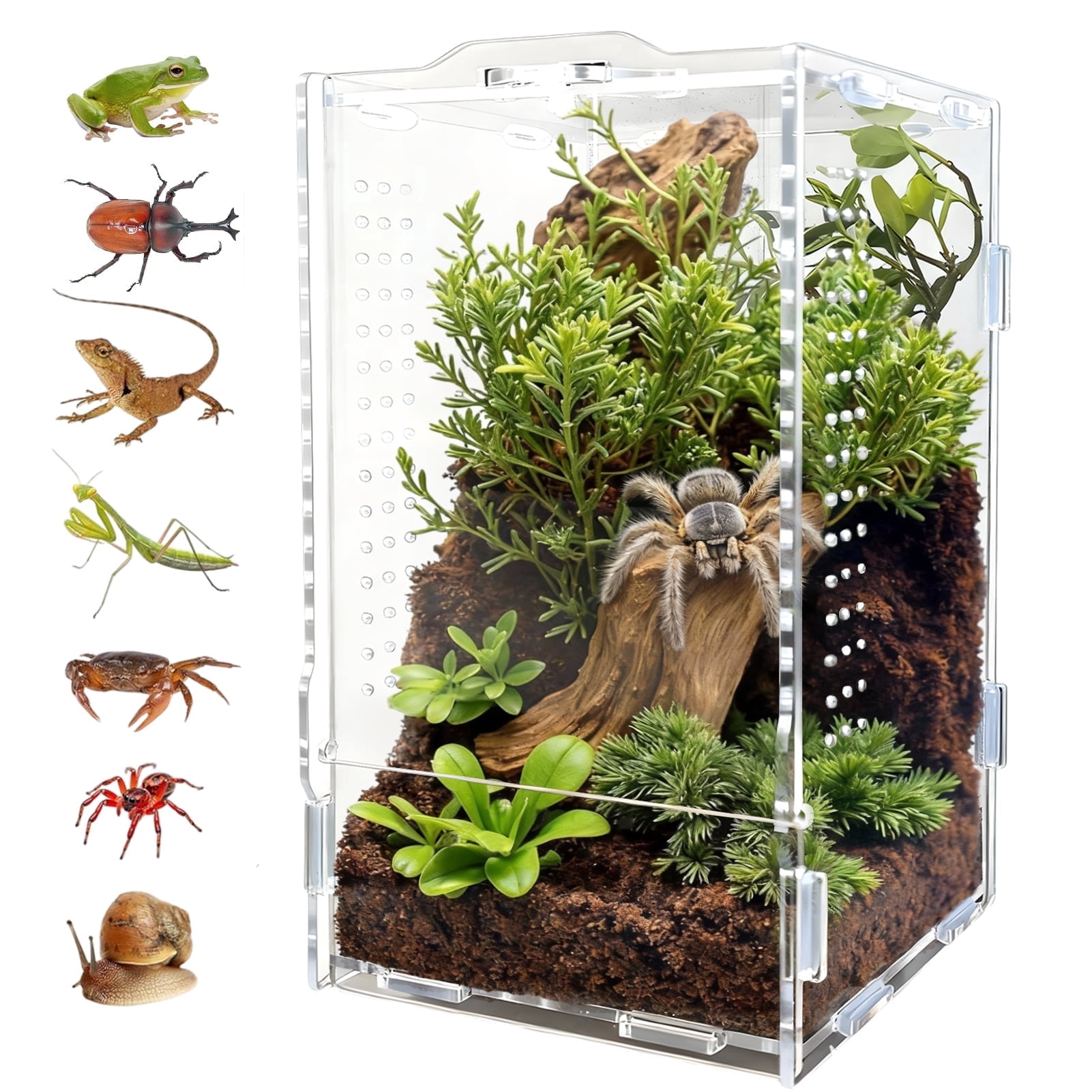 Zoo Med ReptiHabitat 10-Gallon Hermit Crab Kit with Habitat Tank
