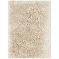 thumbnail image 1 of Safavieh Arctic Shag Beige Shag Rug - 2' x 3', 1 of 1