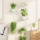 thumbnail image 5 of Estantes giratorios para plantas de ventana, soporte de pared para plantas de interior de 3 niveles, estante de metal floral con ganchos colgantes, 5 of 6