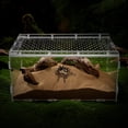 thumbnail image 4 of WASHWEPE Terrario Transparente Para Reptiles Con Ideal Y, 4 of 7
