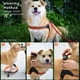 thumbnail image 3 of Arnés para perros sin tirones, ultrasuave, transpirable, acolchado, para mascotas, 2 botones ajustables, arnés reflectante 3M para mascotas para perros (L, naranja brillante), 3 of 5