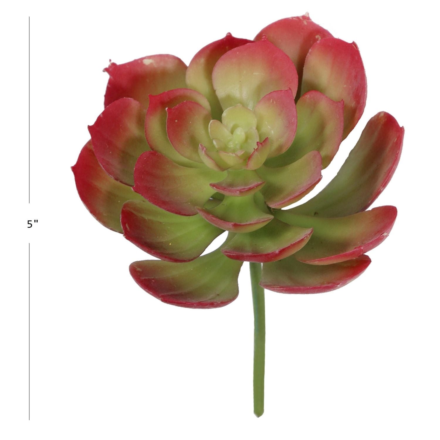 Tige de Plante Artificielle Succulente d'échévérie