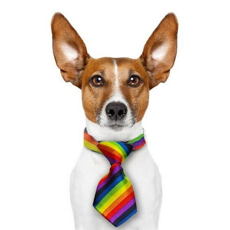 Mini Rainbow Pet Tie (Dogs / Cats) LGBT Gay and Lesbian Pride Pet Accessories