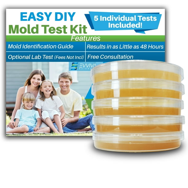 Air Mold Test Kit Evviva Sciences 5 Simple Mold Detection Tests