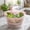 🔥 Pink_New, variant on YYV Multifunctional Vegetable and Fruit Press Strainer, Heavy Duty Kitchen Tool for Juicing Straining Pureeing, Easy Clean Stainless Steel Home Use