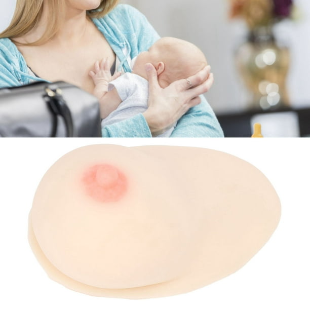 Human Breast Model, Female Breast Model With Premium Soft Silicone For  Lactation Teaching Nursing Training, Large Size, Education And Showcase 