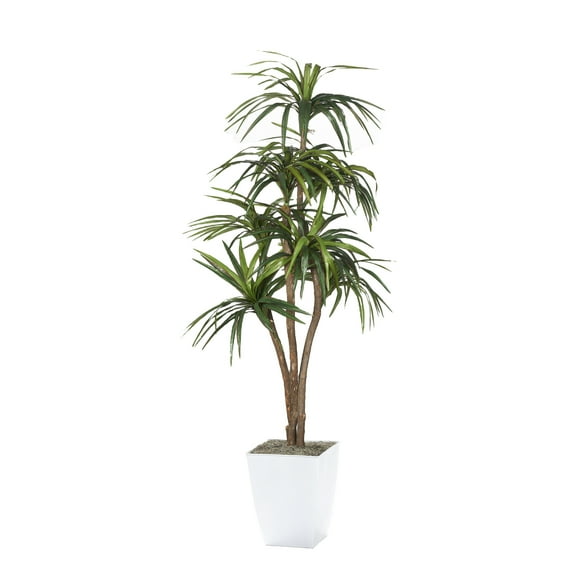 D&W Silks 7' Dracaena Tree in White Metal Planter