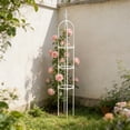 thumbnail image 4 of Climbing Plant Trellis for Outdoor Garden,Expandable Vine Support Trellis for Climbing Plants,Rustproof Plant Climbing Frame for Indoor Outdoor Use,Sturdy Plant Trellis for Vegetables Flowers Roses, 4 of 7