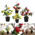 thumbnail image 4 of 4 piezas de bonsái de fruta para fiesta en casa, adornos de , fruta artificial en Macarena bonsái de fruta falsa, 4 of 7