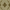 Green, variant on Nourison  Silk Pointe Area Rug Green 3'10" x 5'10" 4' x 6' Indoor,Handmade N/A Rectangle