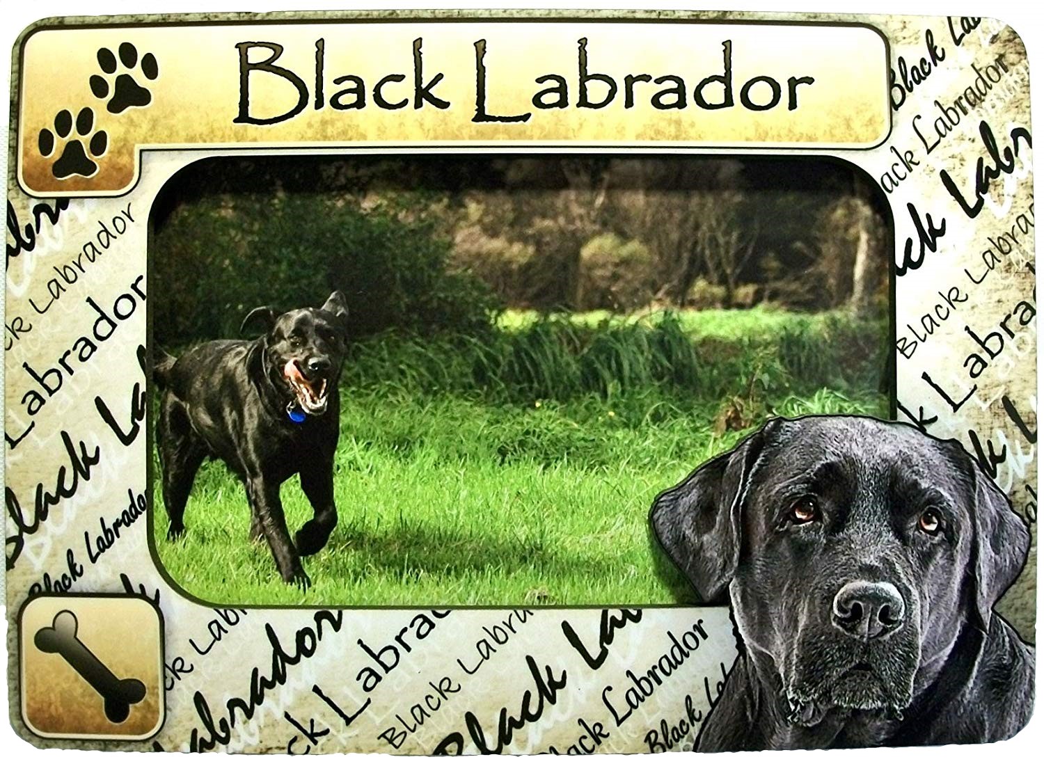Black Labrador Dog Breed Picture Frame Fridge