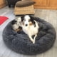 thumbnail image 5 of Super Soft Plush Pet Bed - Comfortable Sleeping Bed for Dogs and Cats ShopWise Round, 5 of 8