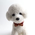 thumbnail image 3 of Collar ZHAOCHENG para perro y gato de Halloween disfraces para mascotas ropa para mascotas, 3 of 5