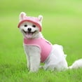 thumbnail image 3 of Riforla Chapeau de Princesse pour Animaux de Compagnie Bord Rond Visière pour Chien Chapeau d'Été Extérieur Respirant Protection Solaire Chapeau pour Animaux Rouge G, 3 of 8