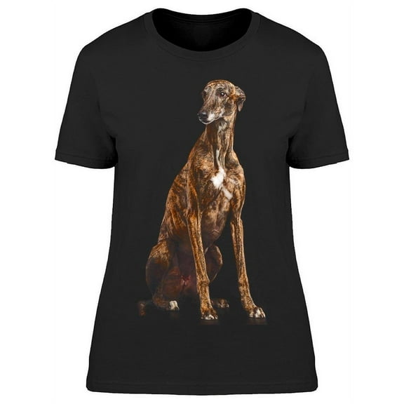 Brindle Greyhound Looking Side T-Shirt Women -Image by Shutterstock, Female 3X-Large