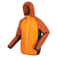 thumbnail image 3 of Regatta Veste Hybride Andreson VIII pour Hommes, 3 of 5