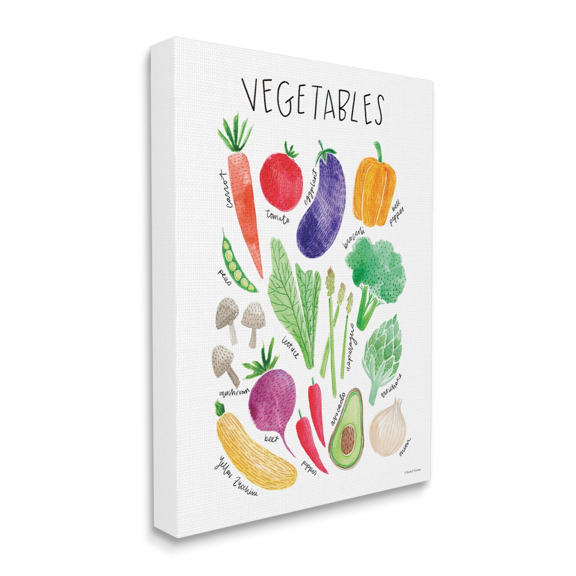 Stupell Industries Varied Vegetables Plants Labeled Diagram Kitchen Sign Graphic Art Gallery Wrapped Canvas Print Wall Art, Design by Rachel Nieman