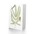 thumbnail image 2 of Leaf Pteris Cretica Greetings Card Plus Envelope Blank inside, 2 of 3