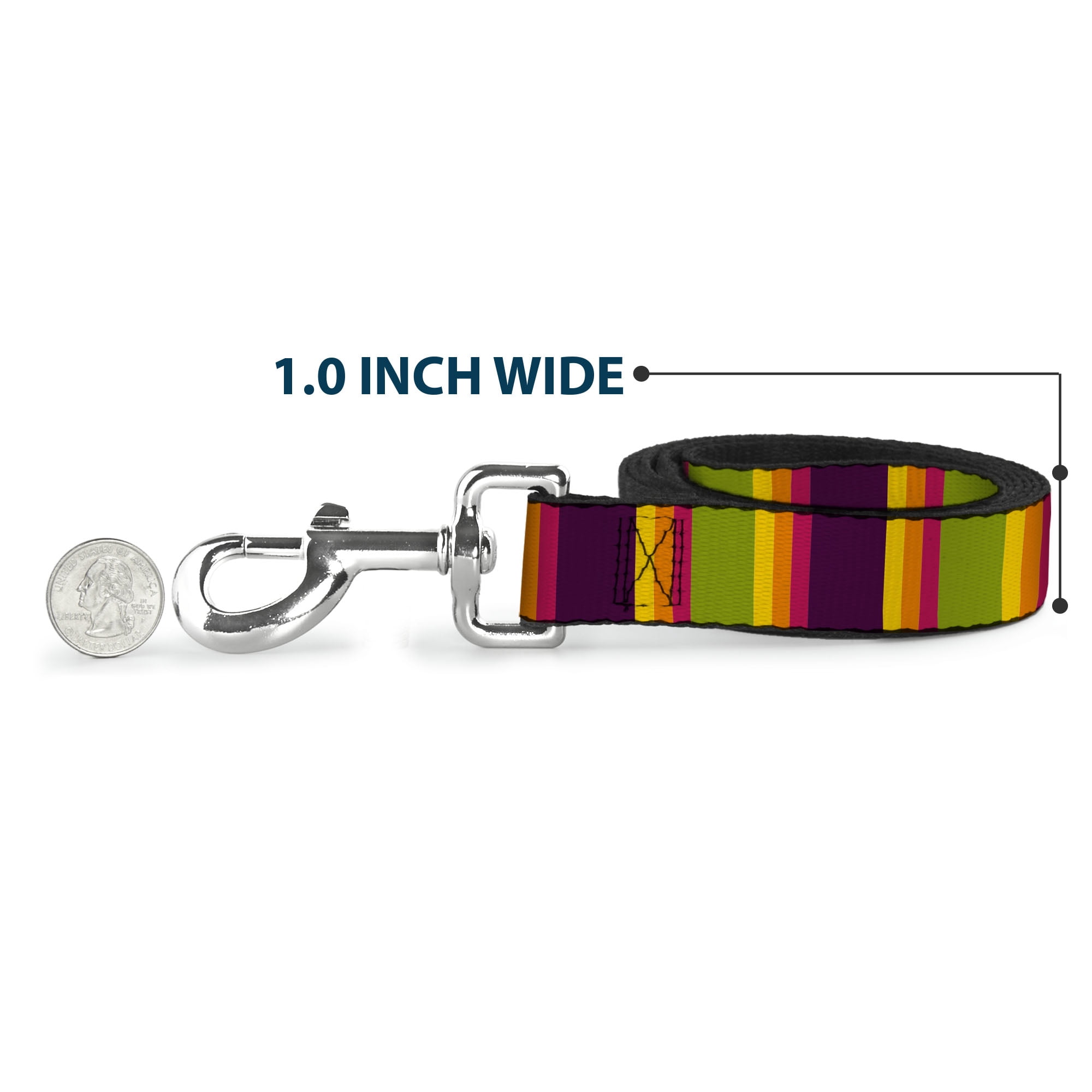 Buckle-Down Pet Leash, Dog Leash, Summer Essentials Color Block 7, 6 Feet Long 1.0 Inch Wide