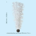 thumbnail image 3 of biOrb Large White Sea Fan - Aquarium Plant Decoration, 3 of 8
