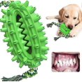 thumbnail image 1 of Dog Toy With Suction Cup - Molar Interactive Chew Toy - Cactus Green, 1 of 4