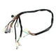 thumbnail image 2 of Conjunto de mazo de cables de repuesto para motocicleta Yamaha PW50 Jadeshay A, 2 of 8