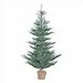 thumbnail image 3 of Vickerman G160442LED Alberta Blue Spruce Christmas Tree with Multi-Colored LED Lights, 4 ft. x 32 in., 3 of 4
