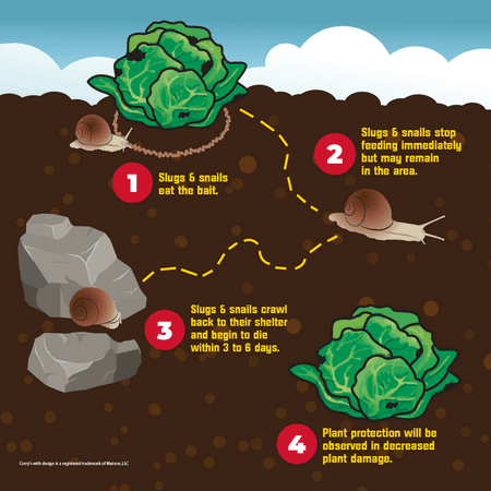Corry's Slug and Snail Killer, Ready-to-Use, 6 lbs.