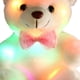 thumbnail image 5 of DQrwqpou Oso Peluche Con LED Funciona Con Pilas para Cumpleaños Día La Madre (blanco), 5 of 6