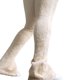 thumbnail image 1 of Pantalones acampanados casuales de punto de gamuza compuesta para mujer de moda, 1 of 5