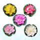 thumbnail image 2 of 5PCS 10CM Simulation Floating Water Lily EVA Lotus Flower Pond Fish Tank Decor Ornaments (White + Red + Yellow + Pink + Light Pink), 2 of 3