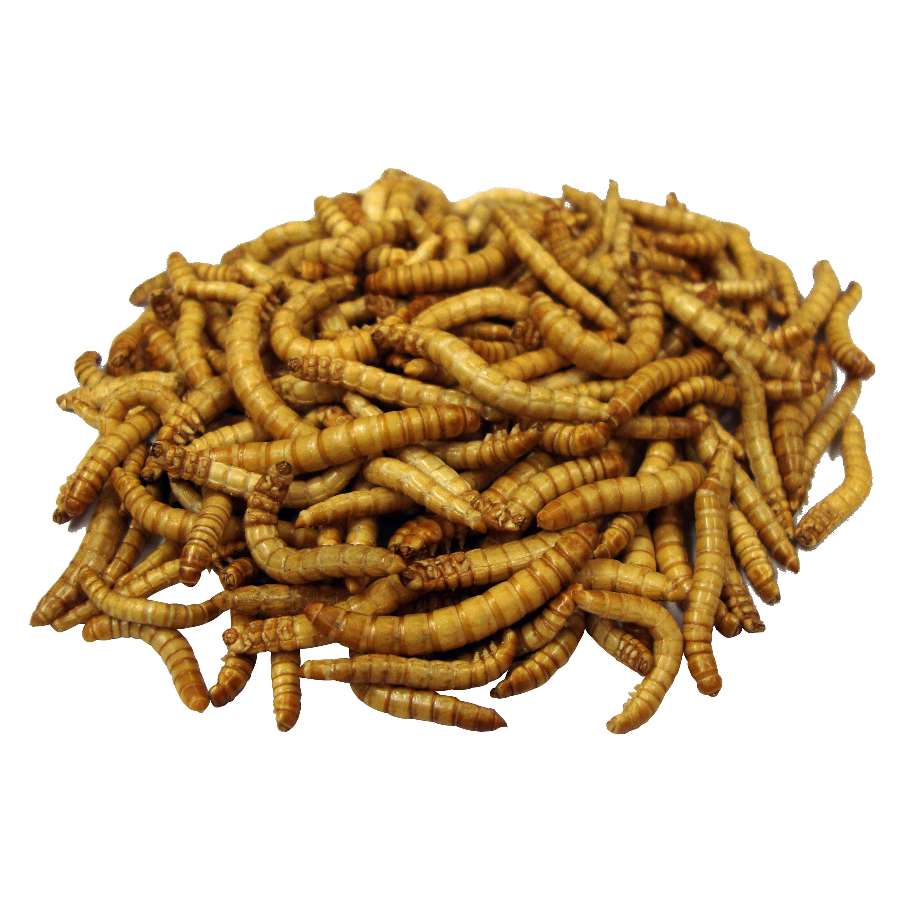Garden Chic! Dried Mealworms, 14 oz.