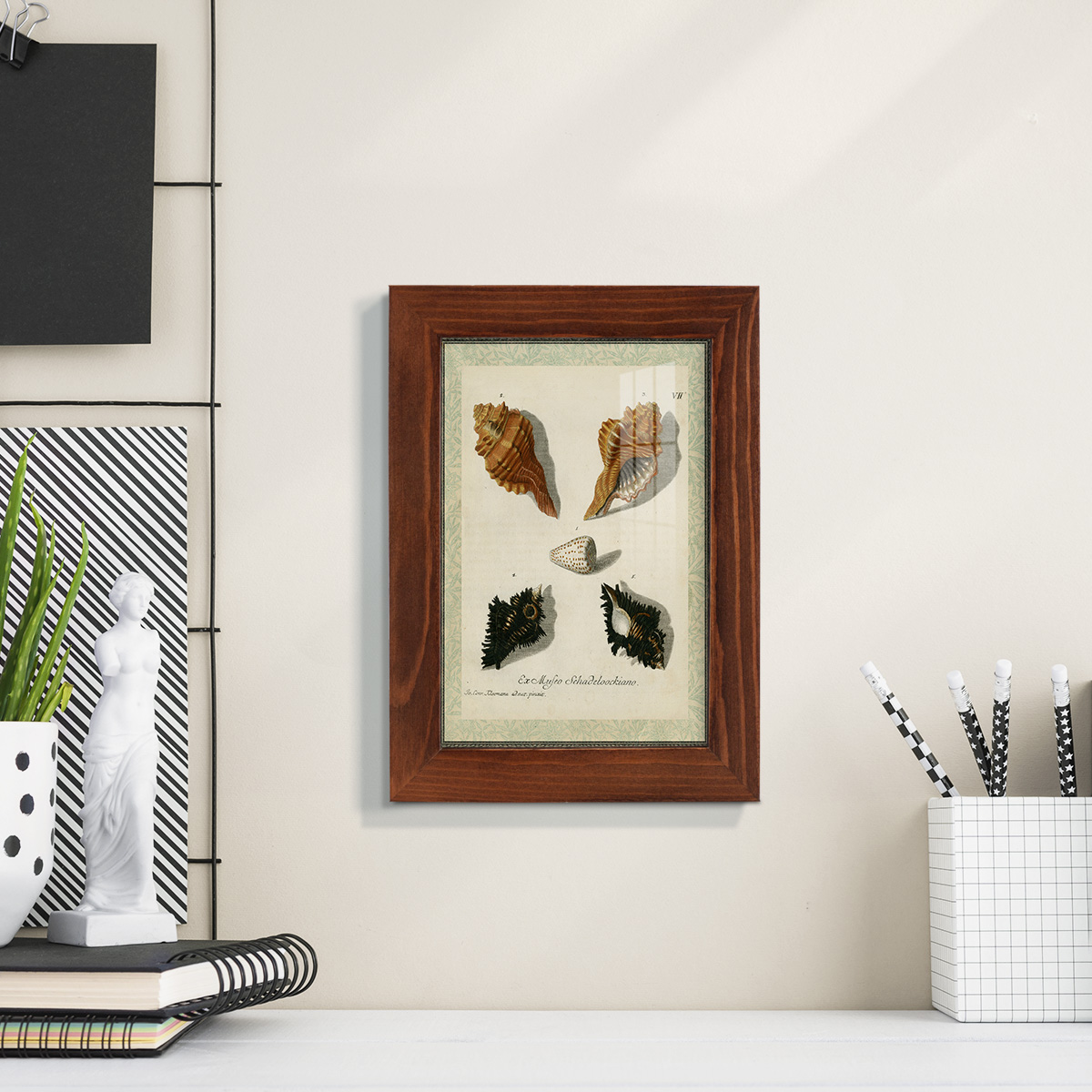 Bookplate Shells I - Framed Print w/glass - Chestnut