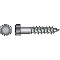 Hillman 3/8" Stainless Steel Hex Lag Screw
