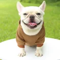 thumbnail image 4 of Sudadera con capucha de otoño e invierno con bolsillo para perros, ropa de dos patas, estilo deportivo, ropa para mascotas, ropa y suministros finos de felpa para perros y gatos, 4 of 5
