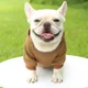 thumbnail image 4 of Sudadera con capucha de otoño e invierno con bolsillo para perros, ropa de dos patas, estilo deportivo, ropa para mascotas, ropa y suministros finos de felpa para perros y gatos, 4 of 5