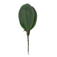 thumbnail image 4 of Simulación de Hojas de Phalaenopsis EVA Hojas de Orquídea Tallos de Cymbidium de Látex de Tacto Real de Hoja de Imitación para Arreglos Florales Decoración de Macetas ANGGREK Otros, 4 of 8