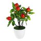 thumbnail image 2 of Ganfancp Simulación de 7 Pachycarpus Fortunei Fruta Grande Bonsai Salón Mesa de Café Decoración Fotografía Atrezzo Decoración Gabinete de Vino Ofertas Flash Liquidación 1 X Planta Simulada En Maceta, 2 of 6