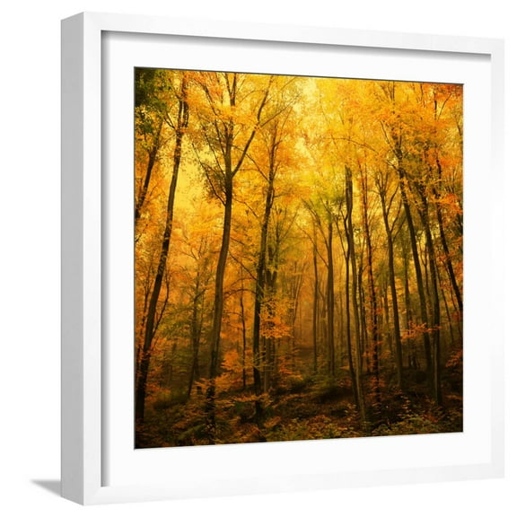 Art.com Big Dreamers Never Sleep Photographic Print by Philippe Sainte-Laudy, White Frame Wall Art, 21" x 21"